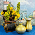 Load image into Gallery viewer, Set of 2 Vintage Brass Vases with Silver Toned Lids