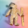 Load image into Gallery viewer, 1988 Teddy's of Yesteryear Teddy Bear