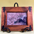 Load image into Gallery viewer, Set of 3 Vintage Framed Photos of Sonoran Desert Animals