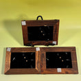 Load image into Gallery viewer, Set of 3 Vintage Framed Photos of Sonoran Desert Animals
