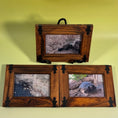Load image into Gallery viewer, Set of 3 Vintage Framed Photos of Sonoran Desert Animals