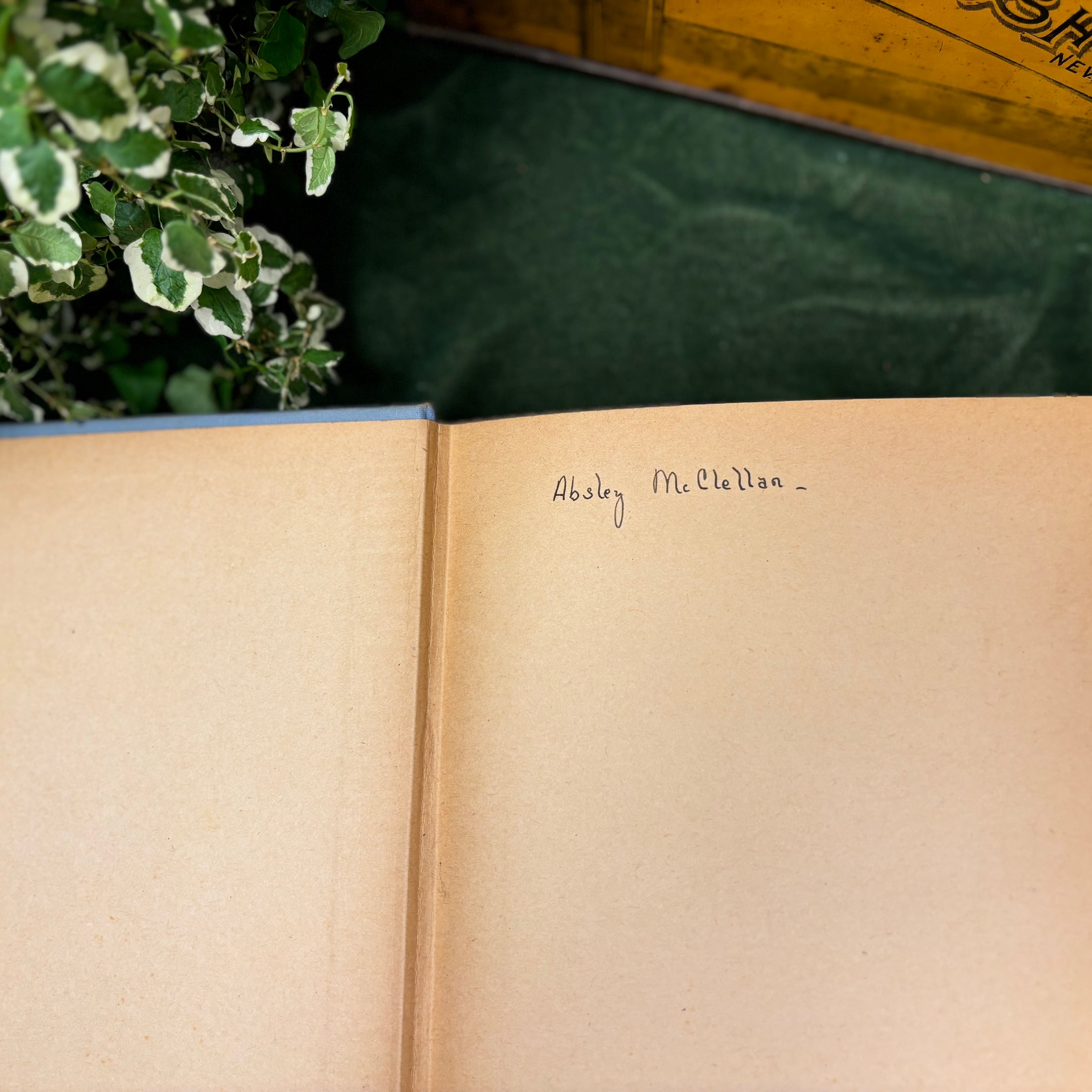 Lincoln's Own Yarns and Stories - Published in 1915