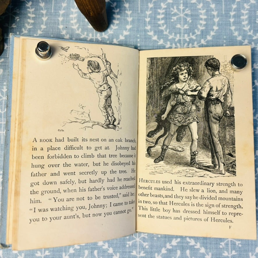 Neddy's Picture Story Book - Circa 1880