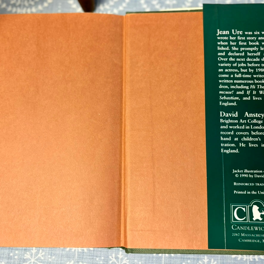 The Wizard In The Woods - First US Edition - 1992