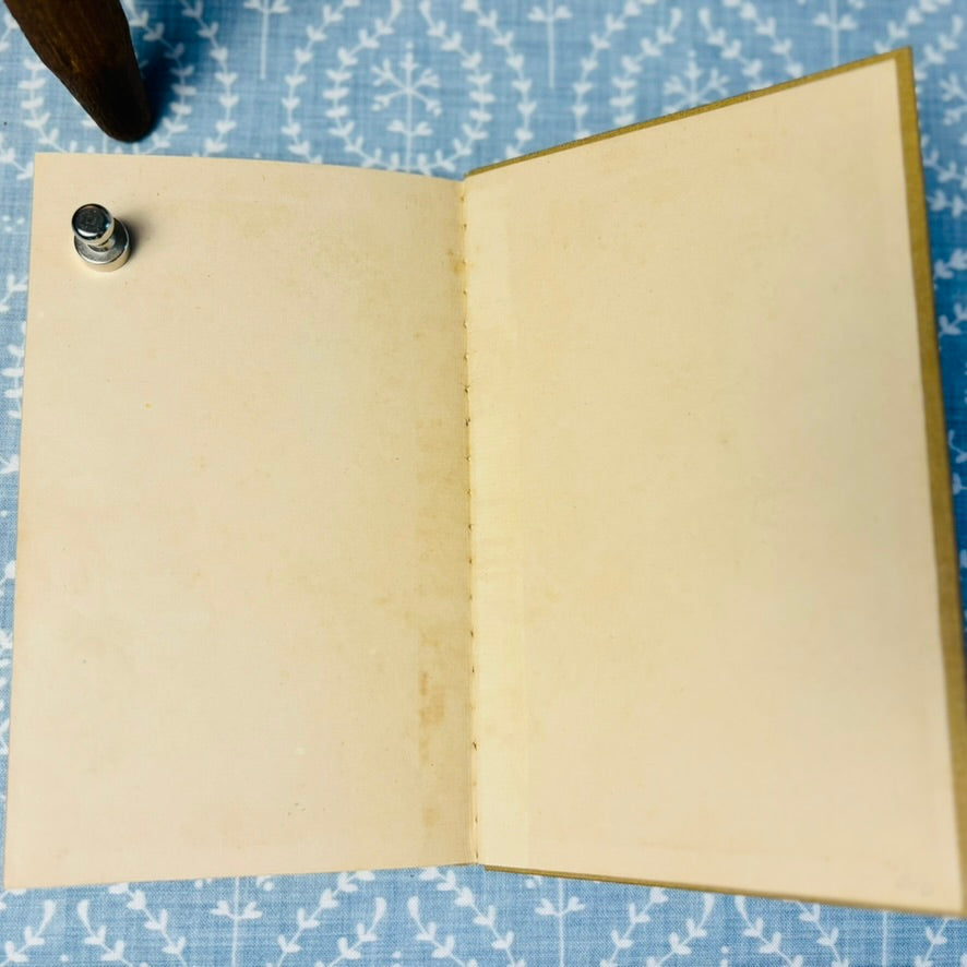 Papa's Pretty Gift Book - Copyright 1887