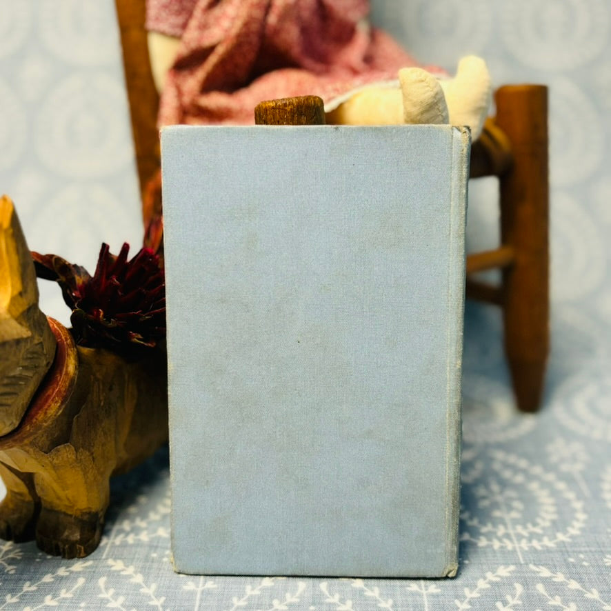 Neddy's Picture Story Book - Circa 1880