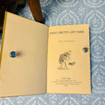 Load image into Gallery viewer, Neddy's Picture Story Book - Circa 1880
