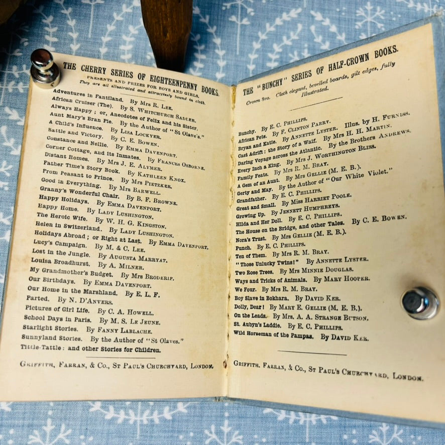 Neddy's Picture Story Book - Circa 1880