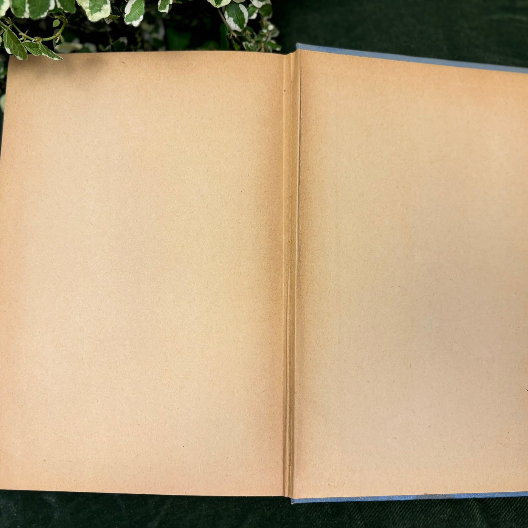 Lincoln's Own Yarns and Stories - Published in 1915