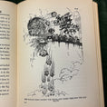 Load image into Gallery viewer, The Road To Oz - Circa 1909
