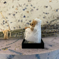 Load image into Gallery viewer, Bear Wearing A Wedding Dress - World of Miniature Bears - 1997
