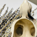 Load image into Gallery viewer, Mid Century Modern Ceramic Terrier Planter
