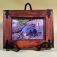 Load image into Gallery viewer, Set of 3 Vintage Framed Photos of Sonoran Desert Animals
