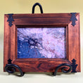 Load image into Gallery viewer, Set of 3 Vintage Framed Photos of Sonoran Desert Animals
