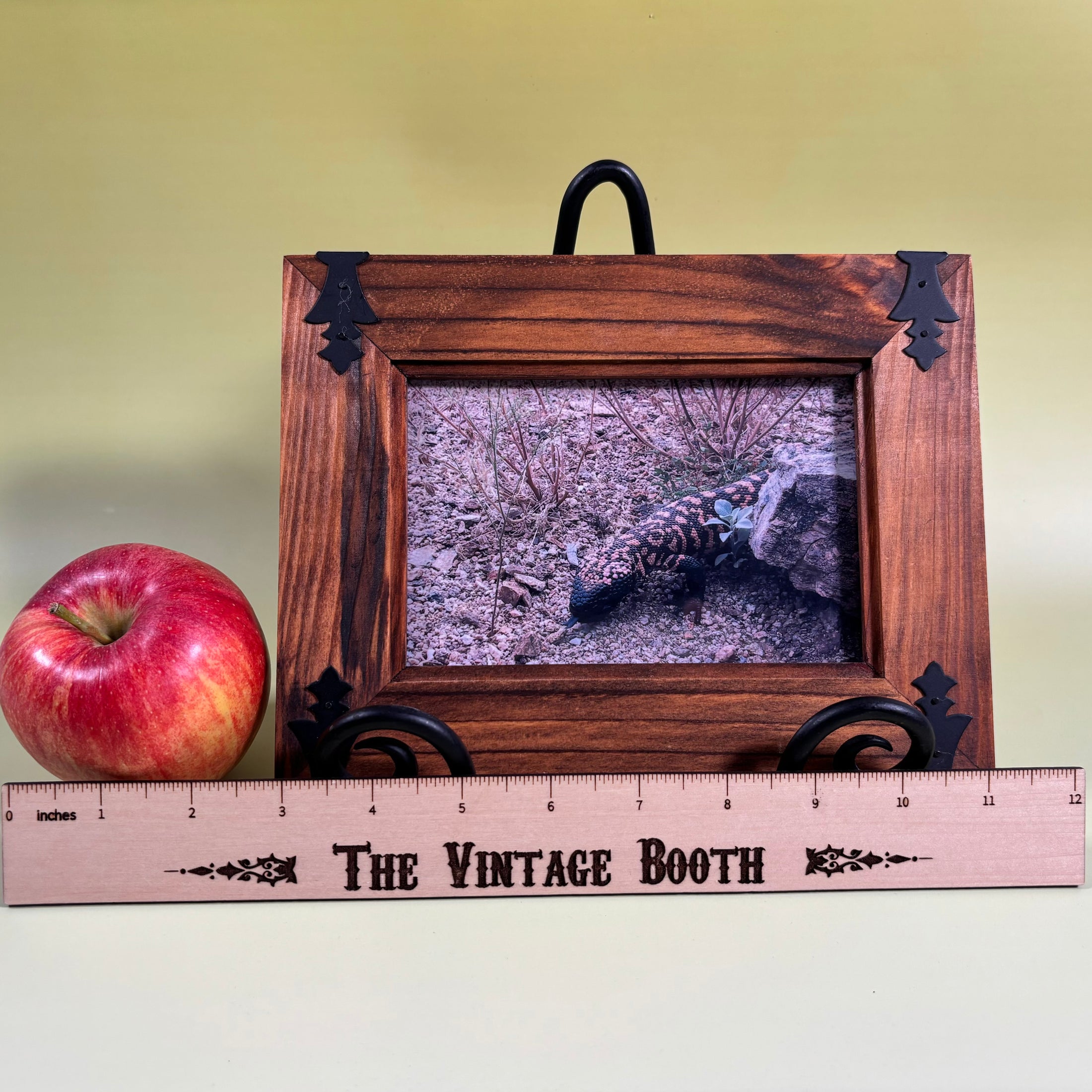 Set of 3 Vintage Framed Photos of Sonoran Desert Animals