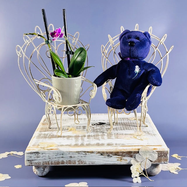 Vintage Distressed White Iron Miniature Peacock Chair Plant Stands - Set of 2